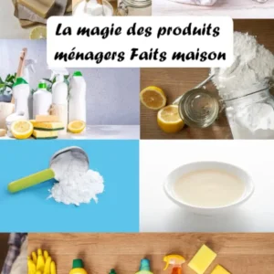 La Magie des Produits Ménagers Faits Maison